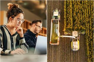 ¿Qué impacta más, lo productivo o lo administrativo?