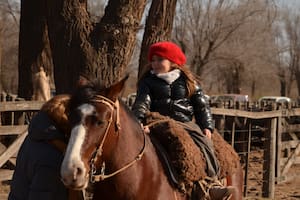 Tiene siete años y sorprende por su habilidad para elegir vacas en un mundo de adultos