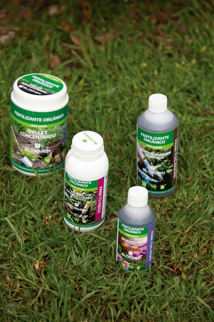 Indicados para cualquier época del año