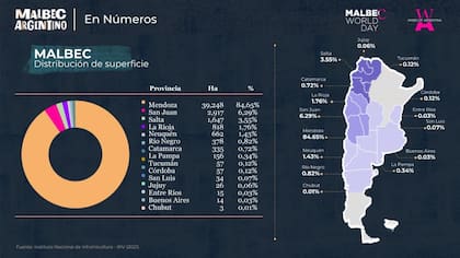 Indudablemente Mendoza es hoy el epicentro, por llamarlo de alguna forma, del Malbec, variedad que se planta hasta en Chubut