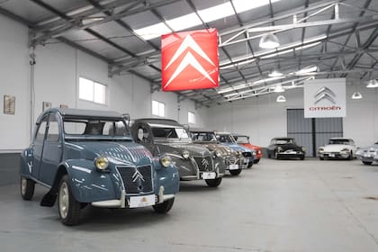 Infaltables. Obviamente, en esta colección no podían faltar los 2CV y 3CV