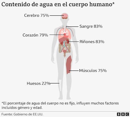 Infografía