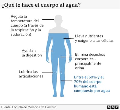 Infographic