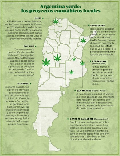 Infografía con algunos de los proyectos industriales de cannabis en la Argentina