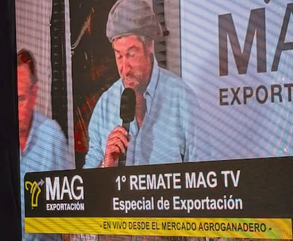 Informaron que por la excelente repercusión generada en toda la cadena comercial, el próximo remate está programado para el 8 de abril