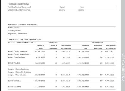 Informe de entidades no financieras, publicado por el BCRA