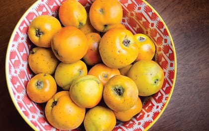 Ingredientes como el tejocote están prohibidos en el paso fronterizo de pasajeros por su riesgo de transportar plagas a EE.UU. (El poder del consumidor/Fiorella Espinosa)