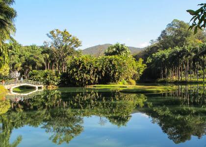 Inhotim conjuga áreas acuáticas con frondosos sectores arbolados.