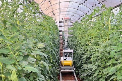 Innovación. Israel,inteligencia artificial. Robot polinizador en las instalaciones de la start up Arugga AI Farm