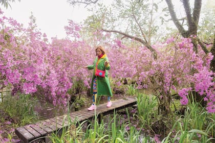 Inquieta e hiperactiva, en uno de los tantos rincones soñados de El Descanso: con un macizo de azaleas que tienen más de 60 años.