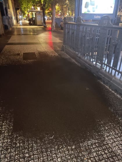 Insectos en la estación de subte Piedras.