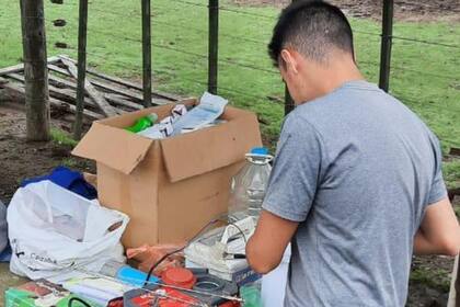 Inseminación artifcial