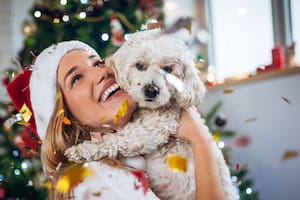 Navidad sin riesgos: cómo cuidar a las mascotas