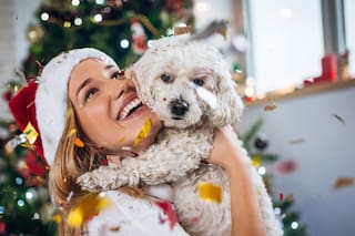 Navidad sin riesgos: cómo cuidar a las mascotas