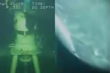 Inspeccionaban una cañería en el fondo del mar y filmaron a una criatura impensada