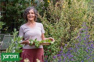 Convirtió su curiosidad por las hierbas en un proyecto de vida