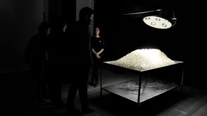 Instalación que integró la muestra Rapsodia inconclusa, que acaba de exhibirse en el Macro de Rosario