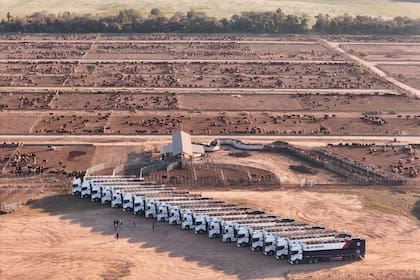 Instalaciones del feedlot de Desdelsur