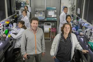 El misterio de la llama: cómo puede curar la diarrea infantil