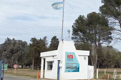 INTea administra varios campos productivos como los del Ejército, la Armada y del mismo INTA, tal el caso en la Estación Experimental de Balcarce, la Cuenca del Salado, Anguil y Montecarlo, en Misiones
