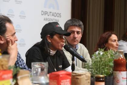 Integrantes de la Mesa Agroalimentaria Argentina durante una presentación en Diputados