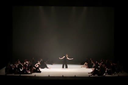 Integrantes del Ballet Contemporáneo del Teatro San Martín y bailarines egresados del Taller de Danza Contemporánea se reúnen para interpretar esta obra, de gran despliegue escénico, de la australiana Stephanie Lake