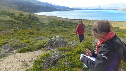 Integrantes del Grupo Forestal, Agrícola y de Manejo del Agua de la Estación Experimental Agropecuaria INTA Santa Cruz