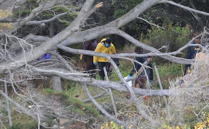 Integrantes del operativo recorren el área de bosque en Ushuaia durante el rastreo para detectar roedores portadores del virus en la investigación del brote de hantavirus