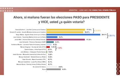 Intención de voto para las PASO del 13 de agosto