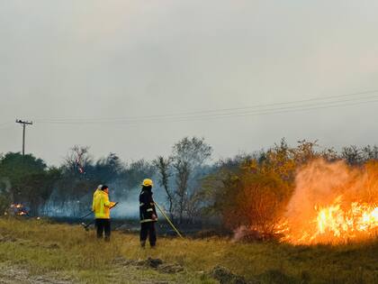 Intenso combate del fuego forestal en la zona correntina de Perugorría