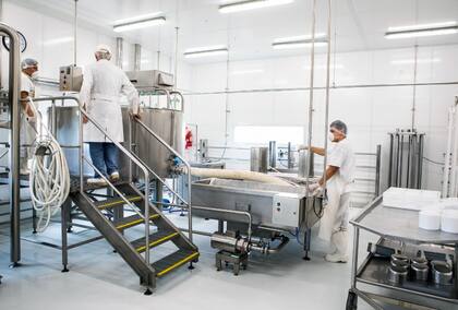 Emprendedor: comenzó con dos búfalas y una olla y ya vende sus propios productos de una leche única 8 Interior de la planta de La Delfina