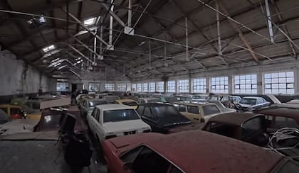 Interior del galpón