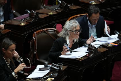 Interpelación a Guillermo Francos por el caso $LIBRA en Diputados: Mónica Frade