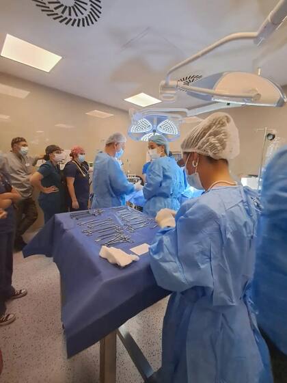 Intervención a Policarpo: médicos humanos y veterinarios colocan por primera vez un marcapasos a un perro en Uruguay.
Foto: FVET.