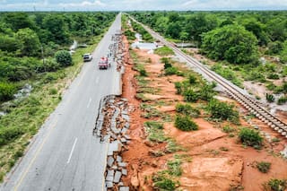 Inundaciones empujan a cocodrilos a pueblos de Mozambique; aumentan preocupaciones sanitarias