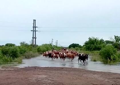 Inundaciones en Corrientes