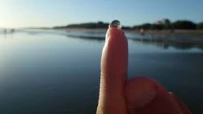 El tamaño de las tapiocas hace que sea muy difícil observarlas en el mar