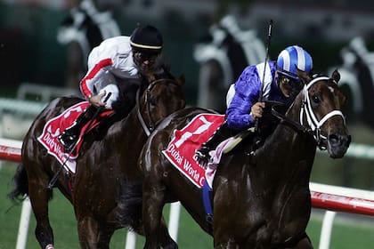 Invasor ganó 11 de sus 12 carreras, entre 2005 y 2007