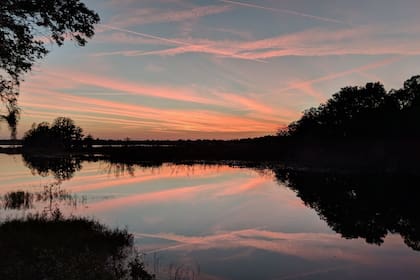 Inverness destaca por la naturaleza y la posibilidad que le brinda a los turistas de tener contacto con la fauna local