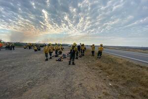 Investigación. Qué hay detrás de las quemas en el Delta del Paraná