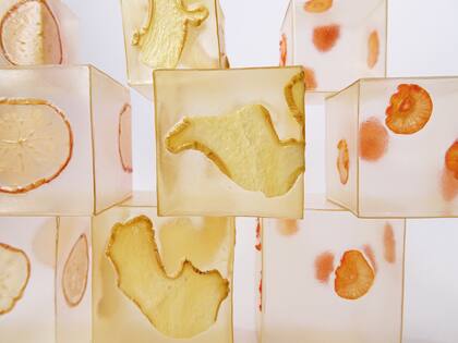 Investigación y producción de polímeros vegetales. Agostina Laurenzano los emplea para su línea de joyería y la creación de packaging