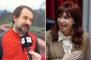 Investigadores del Conicet descubrieron una nueva “rana llorona” y la bautizaron en honor a Cristina Kirchner