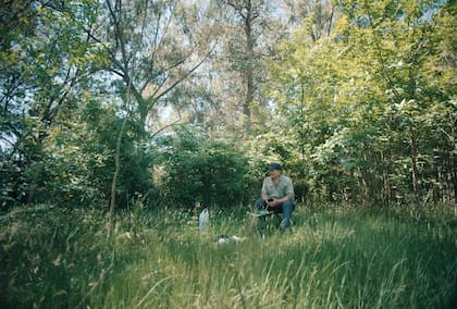 Investigadores del Laboratorio de Sistemas Dinámicos del Departamento de Física, en la Facultad de Ciencias Exactas y Naturales de la UBA, diseñaron un modelo físico para reproducir el canto del chingolo. El dispositivo “utiliza modelos matemáticos y de Inteligencia Artificial y permite tanto recuperar cantos antiguos de estas aves como generar “nuevas canciones” que son imitadas y aprendidas por los pichones de esta especie”, explica Gabriel Mindlin, director del Laboratorio