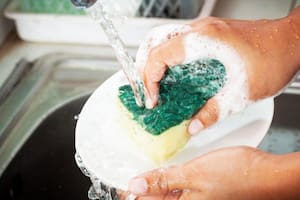 Investigadores en Alemania secuenciaron el ADN de las bacterias en esponjas de cocina (Foto: Getty Images)