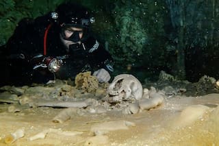 Hallan huesos de 2.5 millones de años en la cueva inundada más grande del mundo