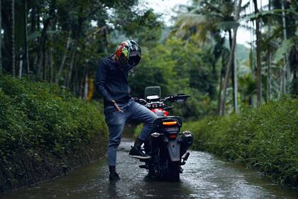 Investigadores estudian estas reacciones humanas. Foto: Pexels