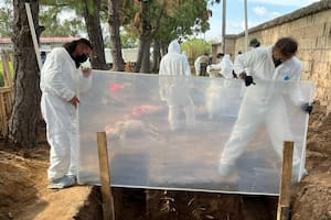 Investigadores preparan el lugar donde van a ser exhumados varios animales para su investigación.