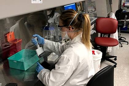 Los expertos argentinos serán encargados de las pruebas en animales