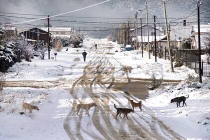 Invierno atípico: sin turistas, los residentes aprovechan para caminar en soledad por las calles de Bariloche
