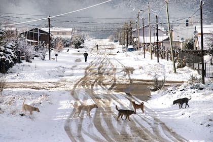 Invierno atípico: sin turistas, los residentes aprovechan para caminar en soledad por las calles de Bariloche